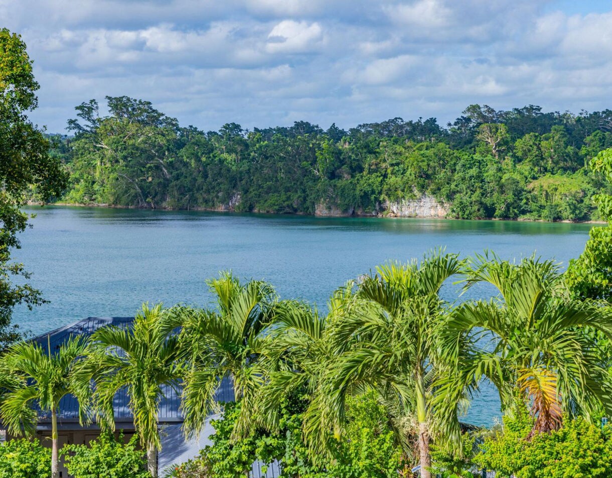 View of a tranquil blue lagoon bordered by dense tropical forest, with palm trees in the foreground.
