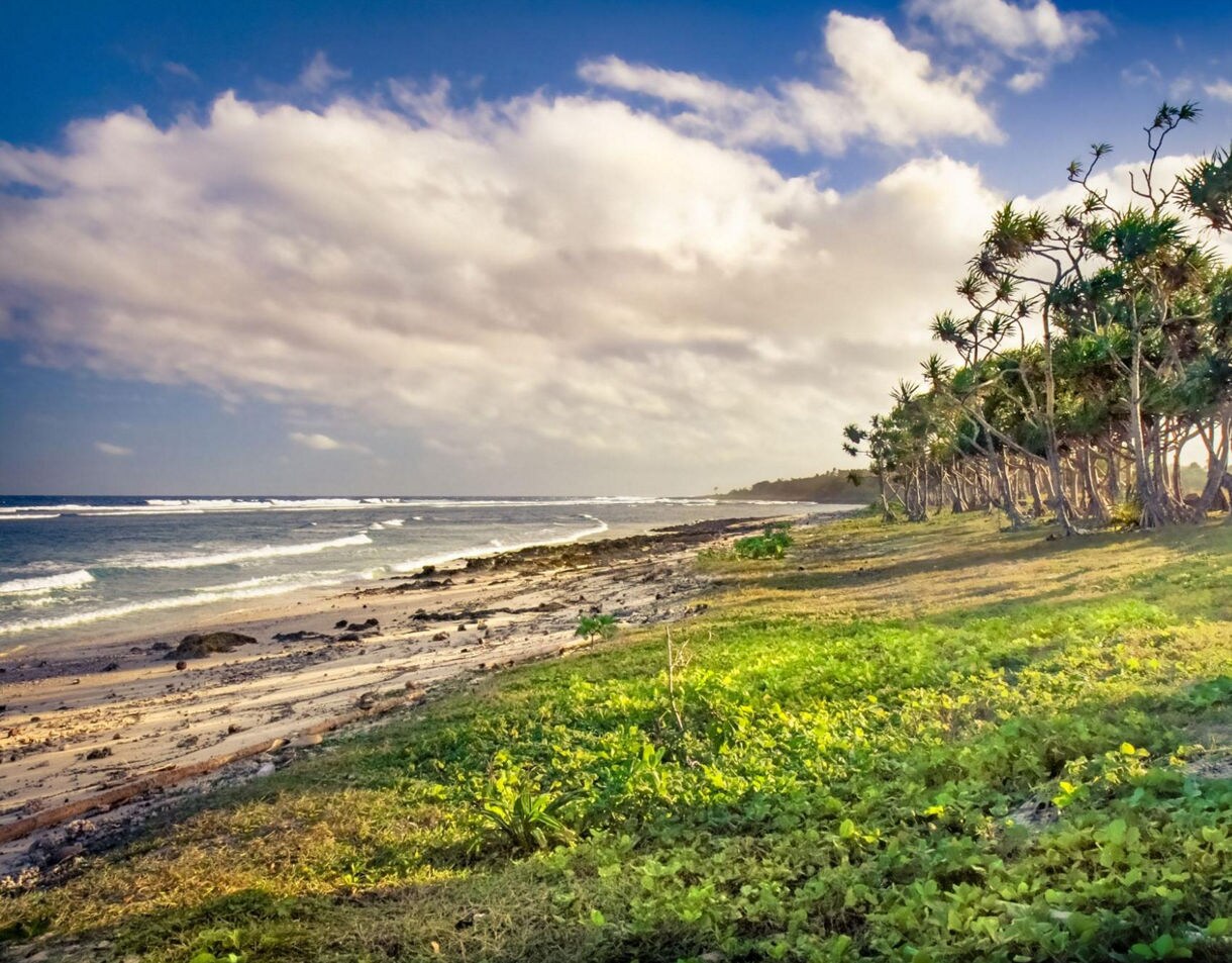 Tropical coastline with pandanus trees beside a sandy beach and gentle ocean waves under a partly cloudy sky.