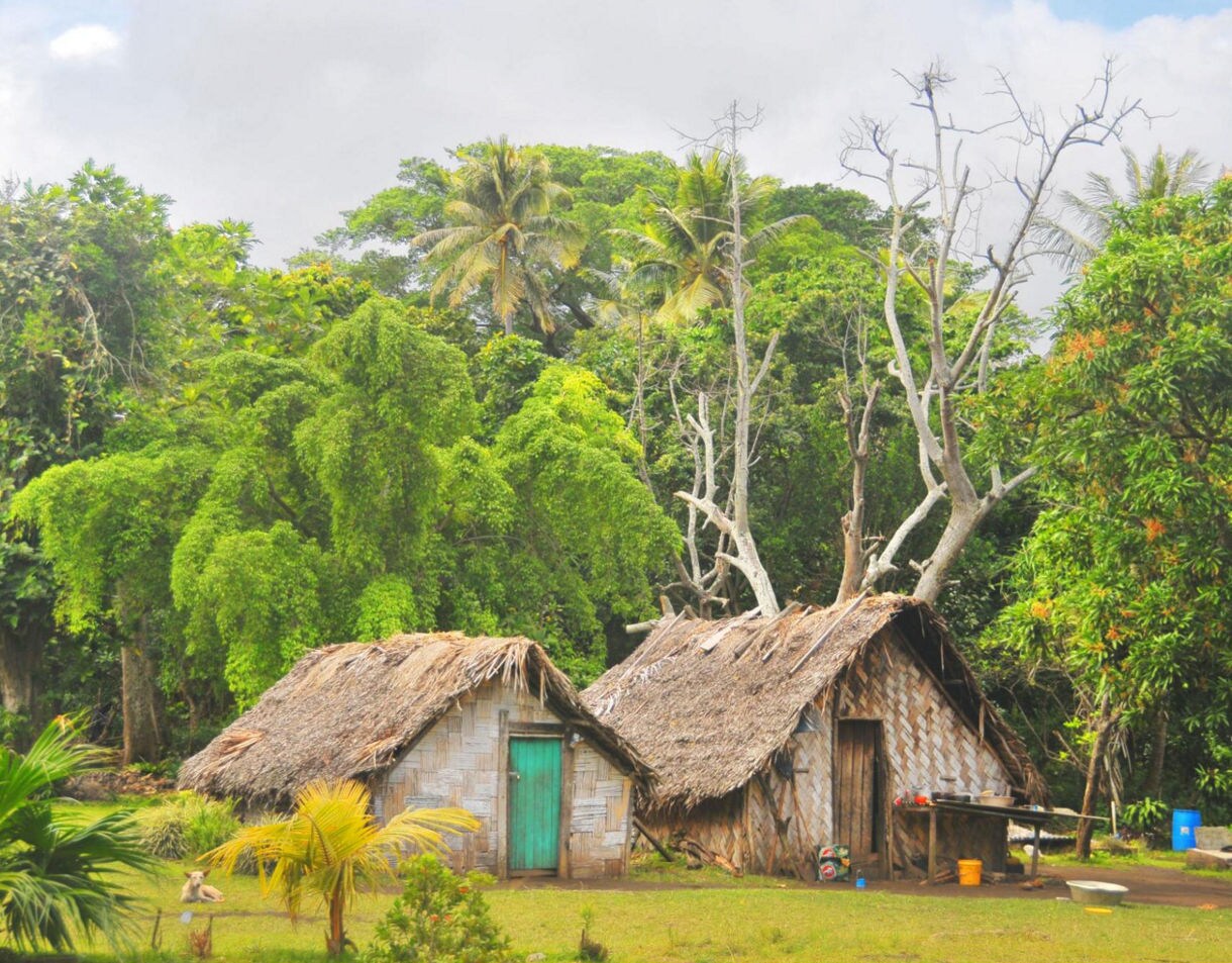 Two traditional woven huts with thatched roofs surrounded by lush green tropical trees and plants in a peaceful village clearing.