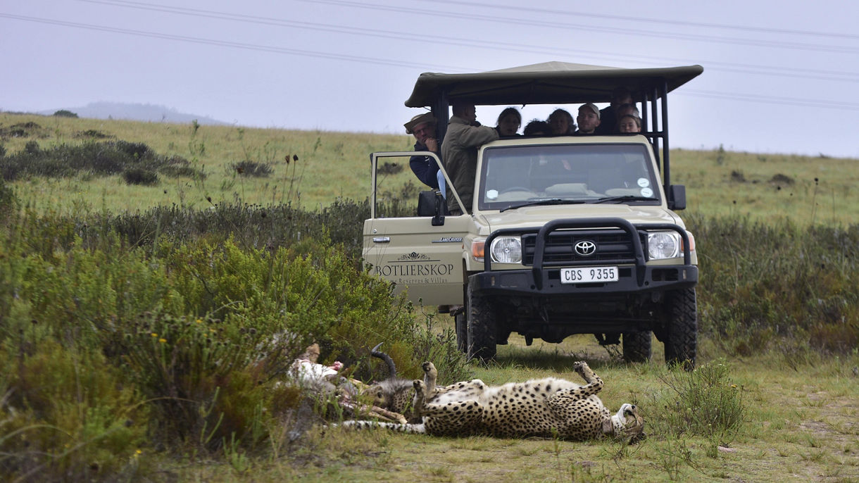 Botlierskop Private Game Reserve