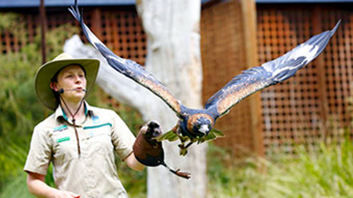 Healesville Wildlife Sanctuary
