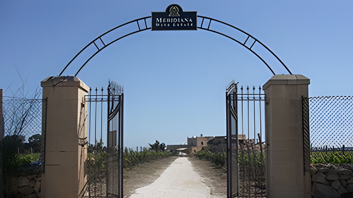 Marsaxlokk Village & Wine Tasting