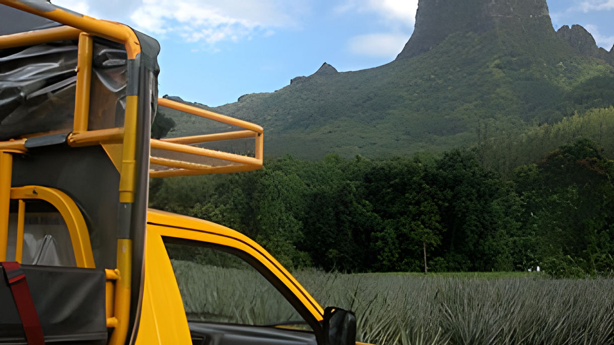 Local Connections: Moorea In Focus Photography Expedition