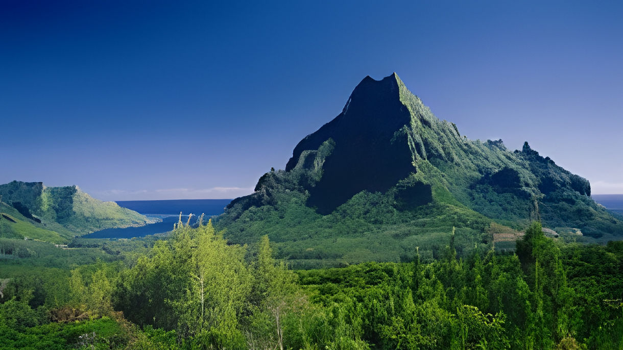 Island Drive, Tiki Theater Village & Juice Factory