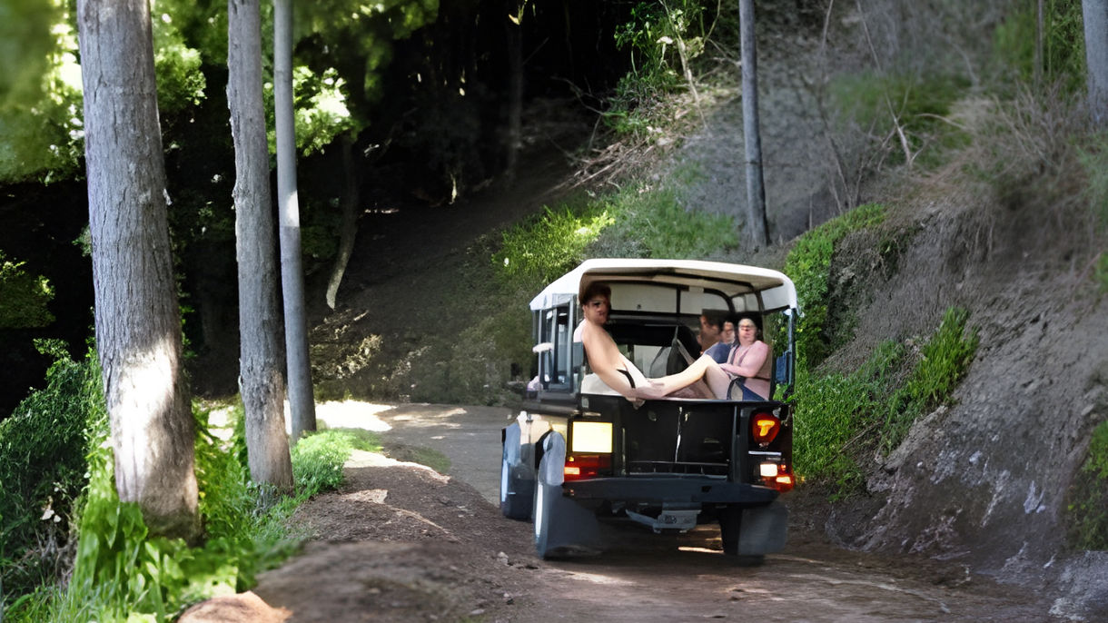 Moorea by 4WD