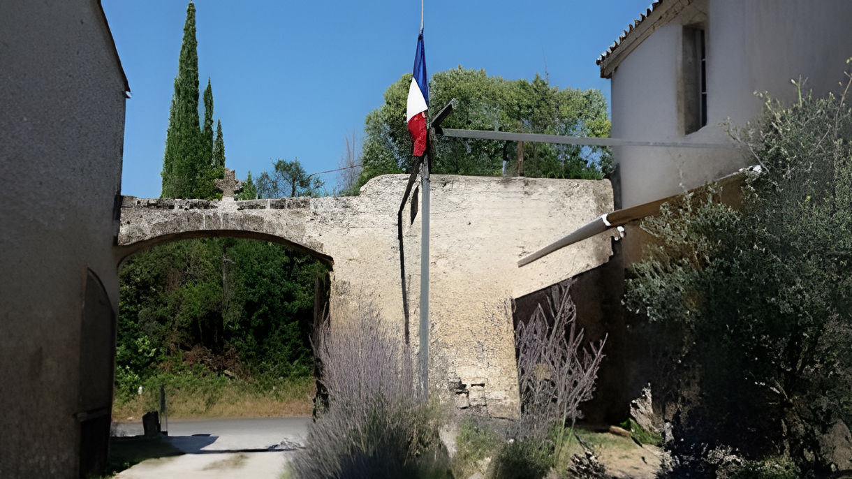 Local Connections: Olive Growing Farm & Tasting with Owner Mill de la Coquille