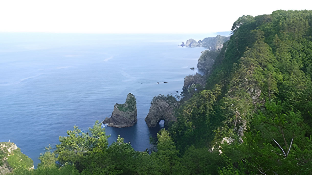 貸切三陸鉄道乗車と久慈、北山崎(日本語ガイド)(Guided in Japanese)
