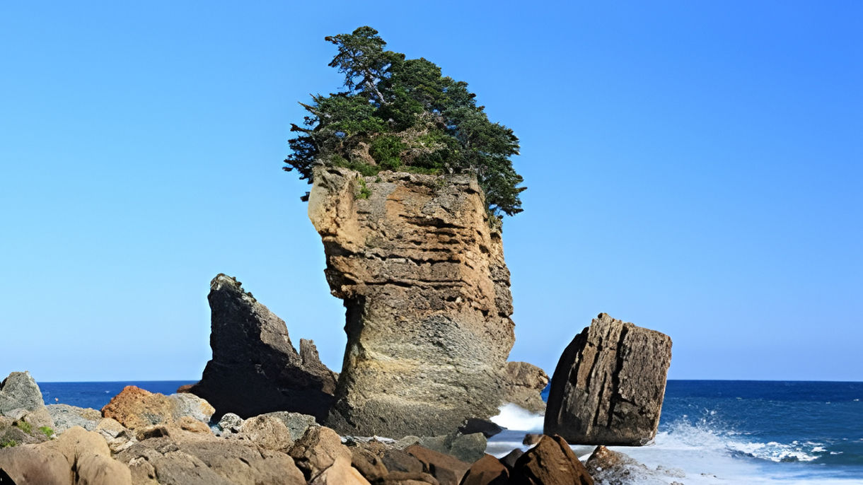 津波遺構　たろう観光ホテルと浄土ヶ浜散策(日本語ガイド)(Guided in Japanese)