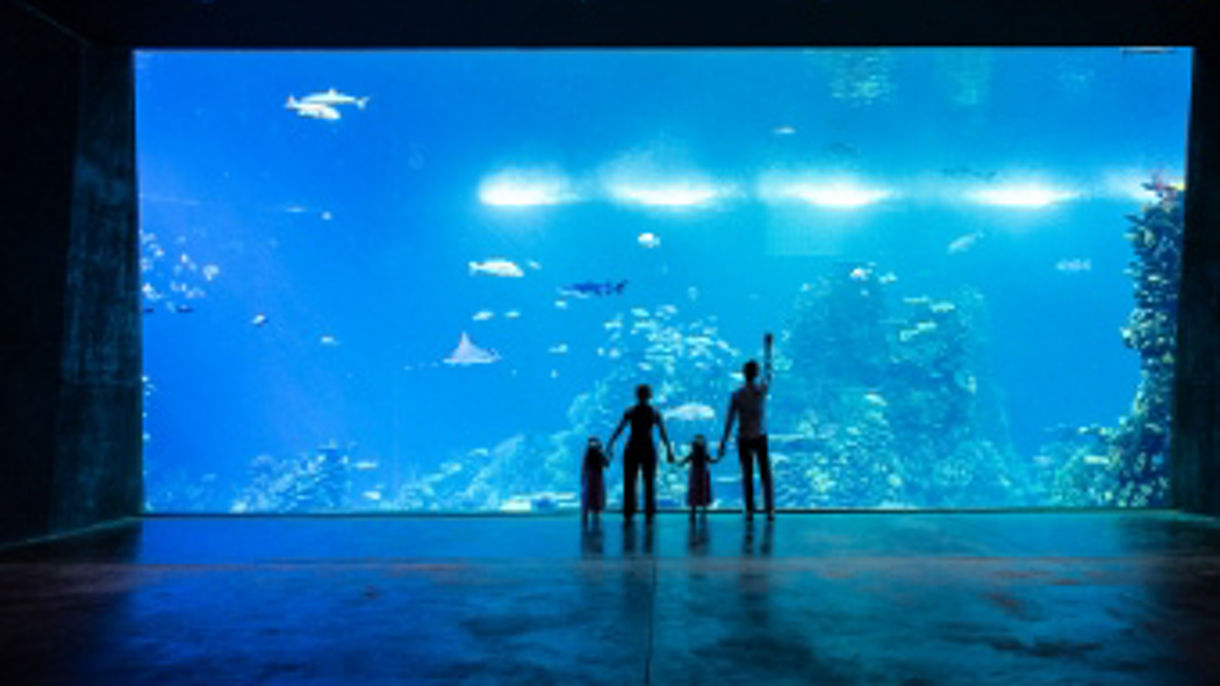 Scenic Drive & Mazatlan Aquarium