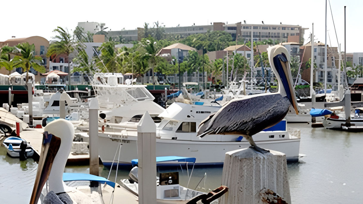 Mini Speed Boat & All-Inclusive Beach Escape