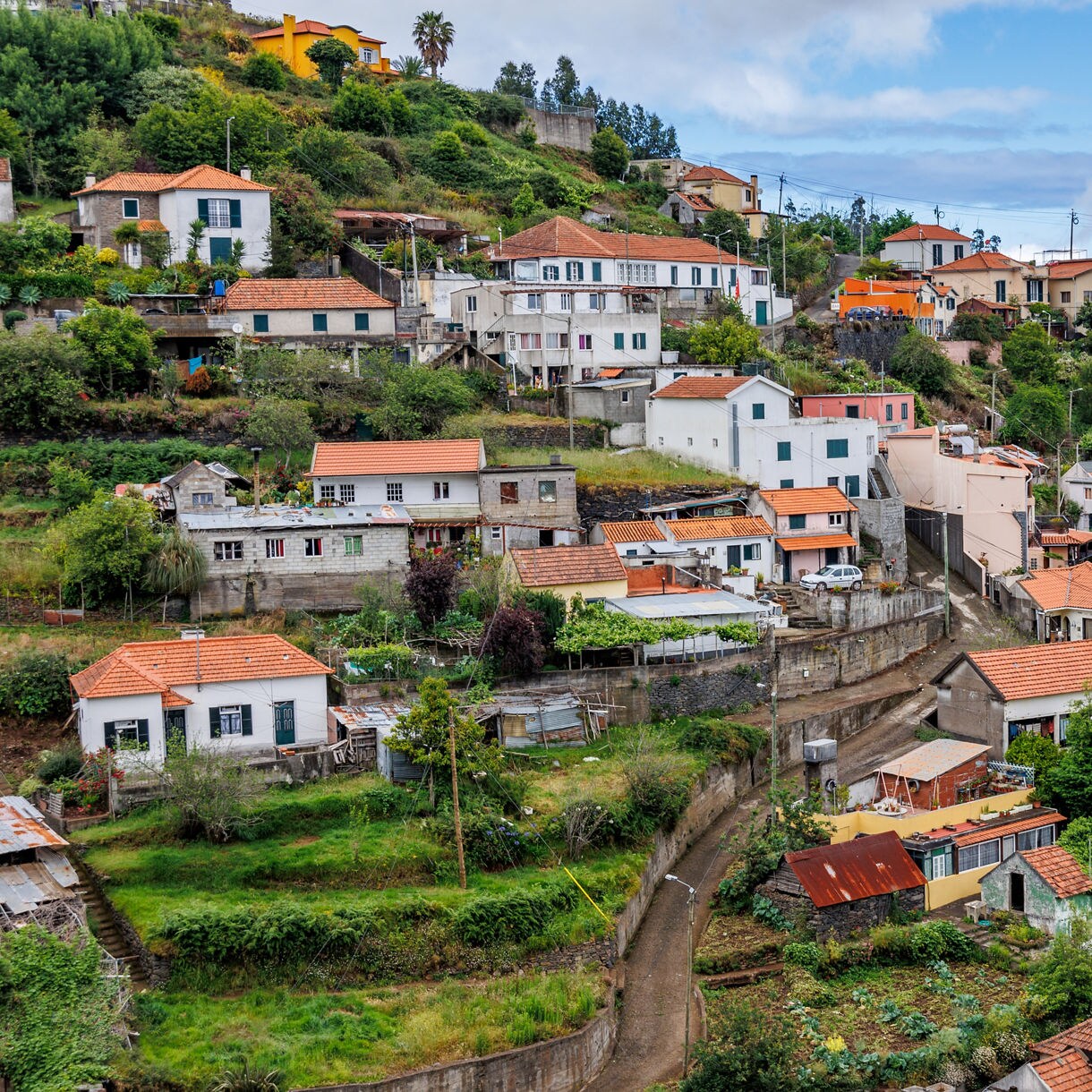 Cluster of hillside homes with red-tiled roofs in Madeira, surrounded by green terraces and lush vegetation.