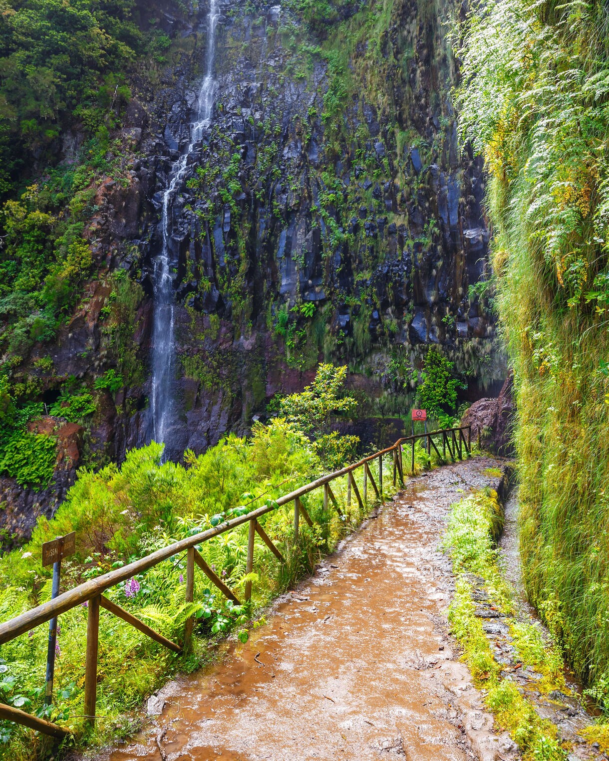Narrow levada path in Madeira leading past a tall, slender waterfall flowing down a rocky, green cliffside.
