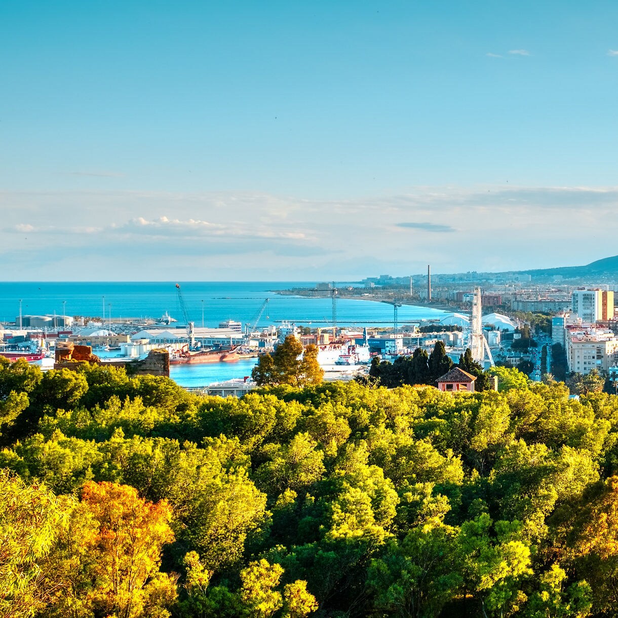 Panoramic view of Málaga with the cathedral, city buildings, harbor and distant mountains framed by green treetops under a clear sky.