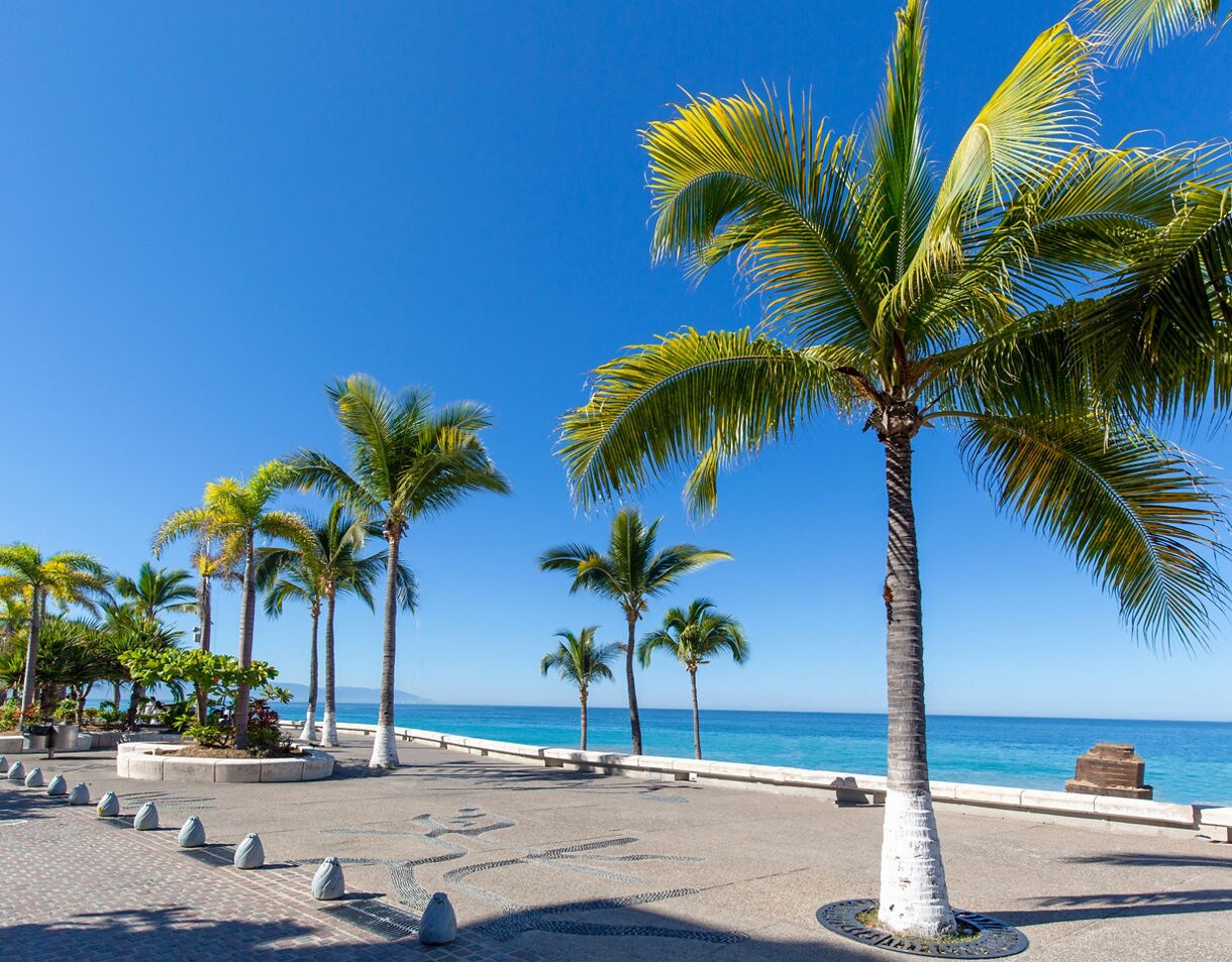 Scenic view of Puerto Vallarta’s Malecón with palm trees, oceanfront walkway and turquoise sea under a clear blue sky.