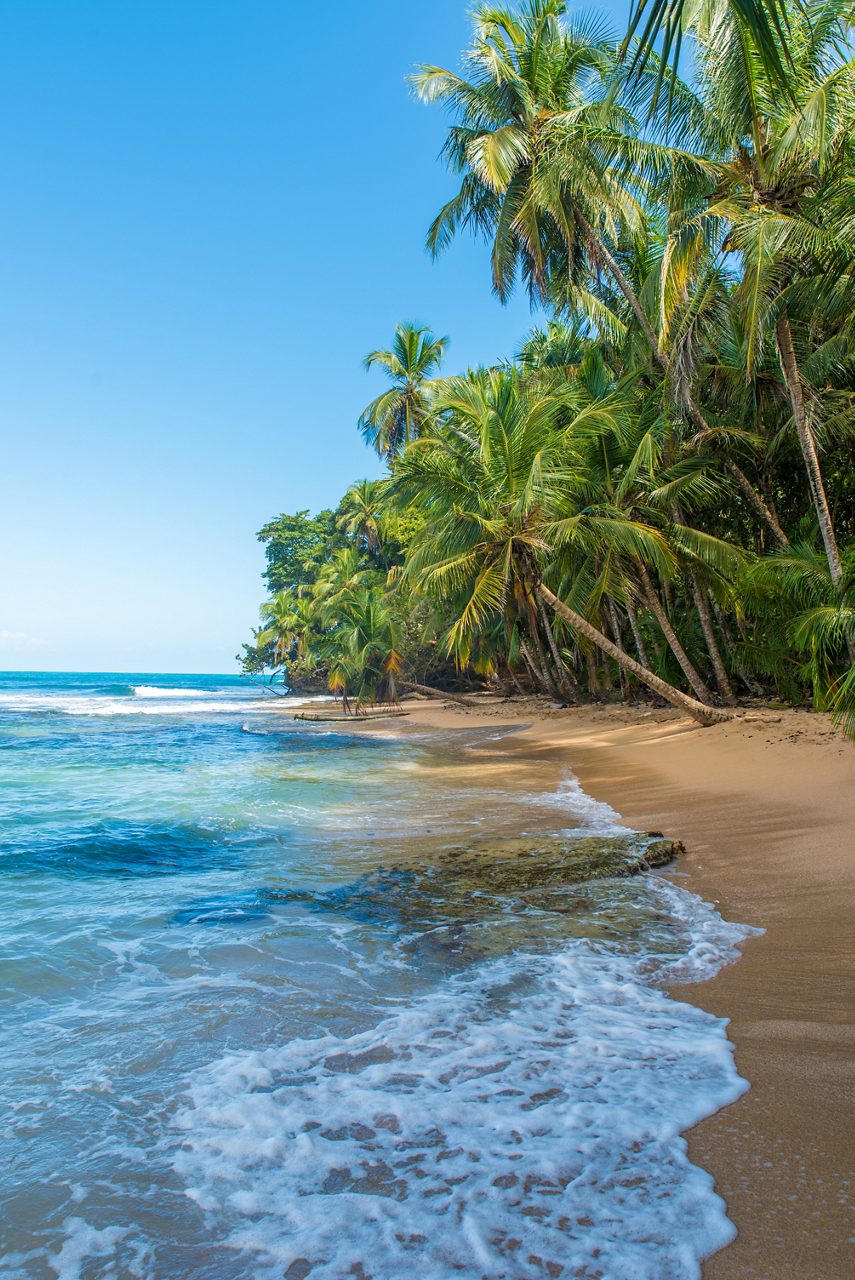 Sandy beach with turquoise waves and leaning palm trees at Manzanillo National Park.
