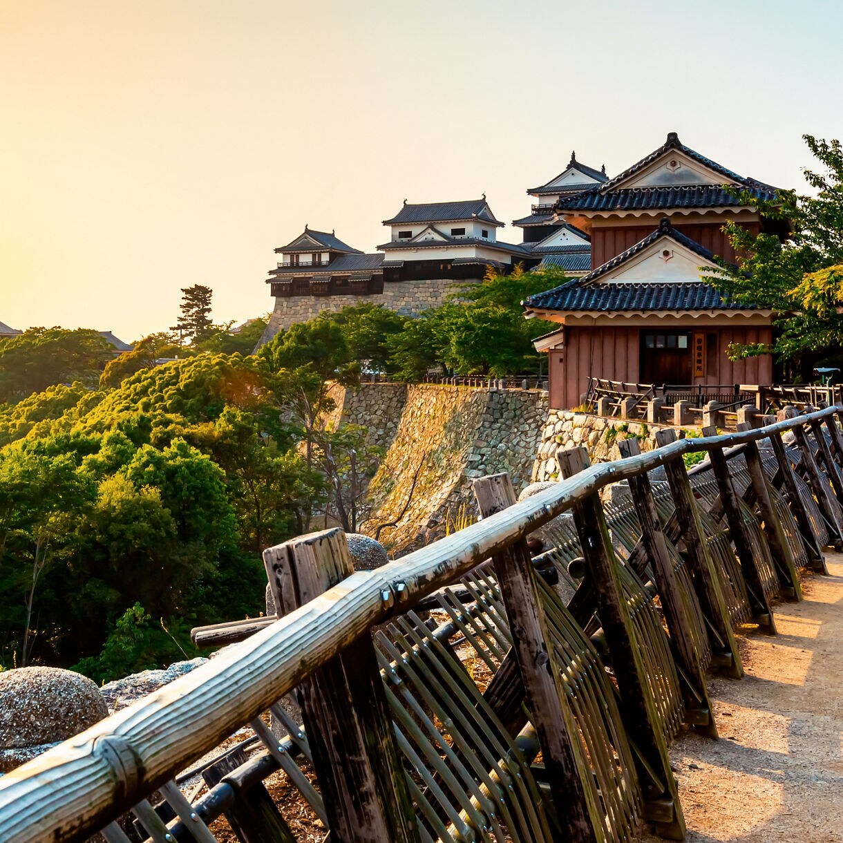 A scenic view of Matsuyama Castle at sunset, with traditional wooden buildings and stone walls overlooking lush green trees and a sunlit pathway lined with wooden railings.