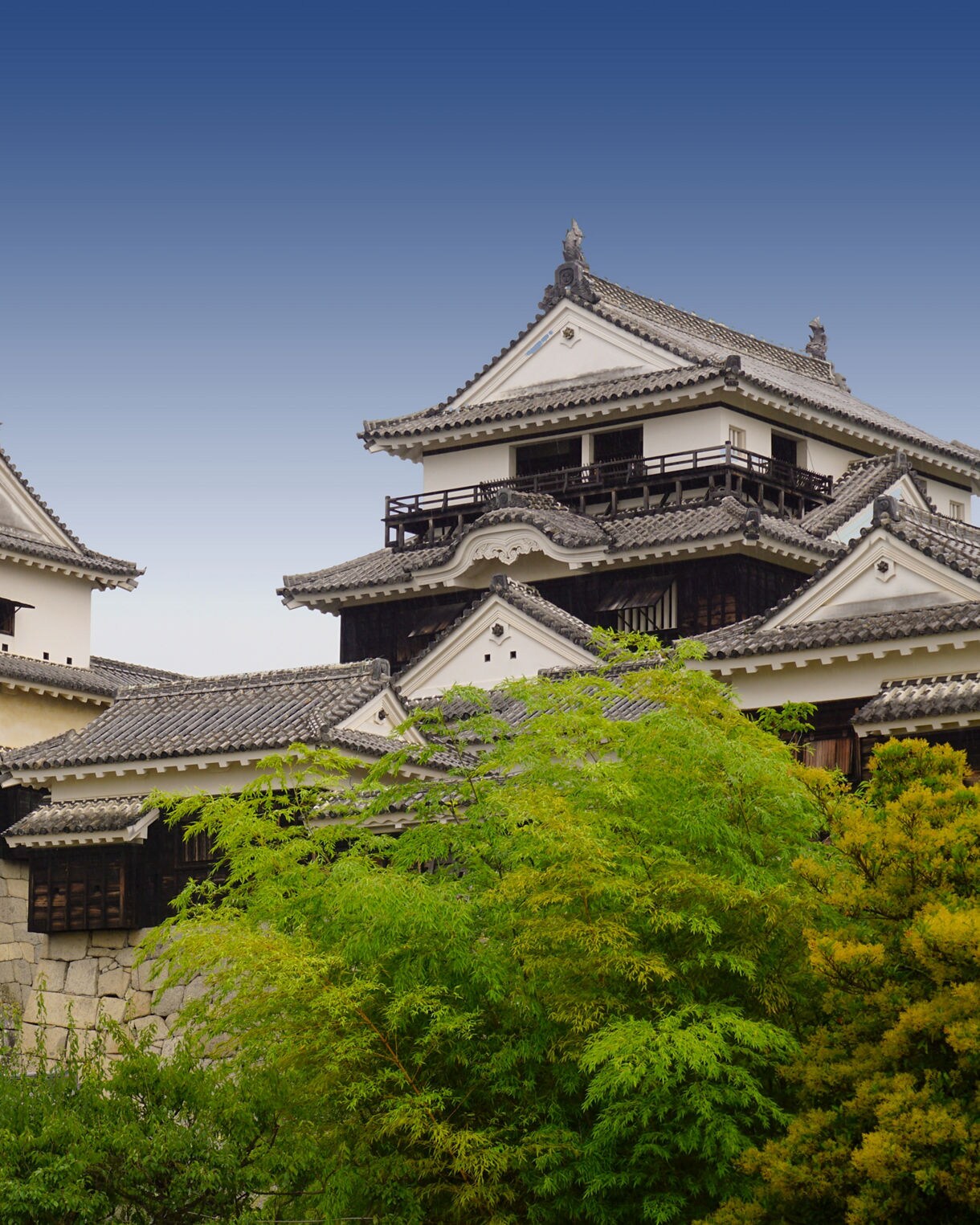 A traditional Japanese castle with multiple white-walled tiers, dark wooden accents and gray tiled roofs, partially hidden by dense green trees under a clear blue gradient sky.