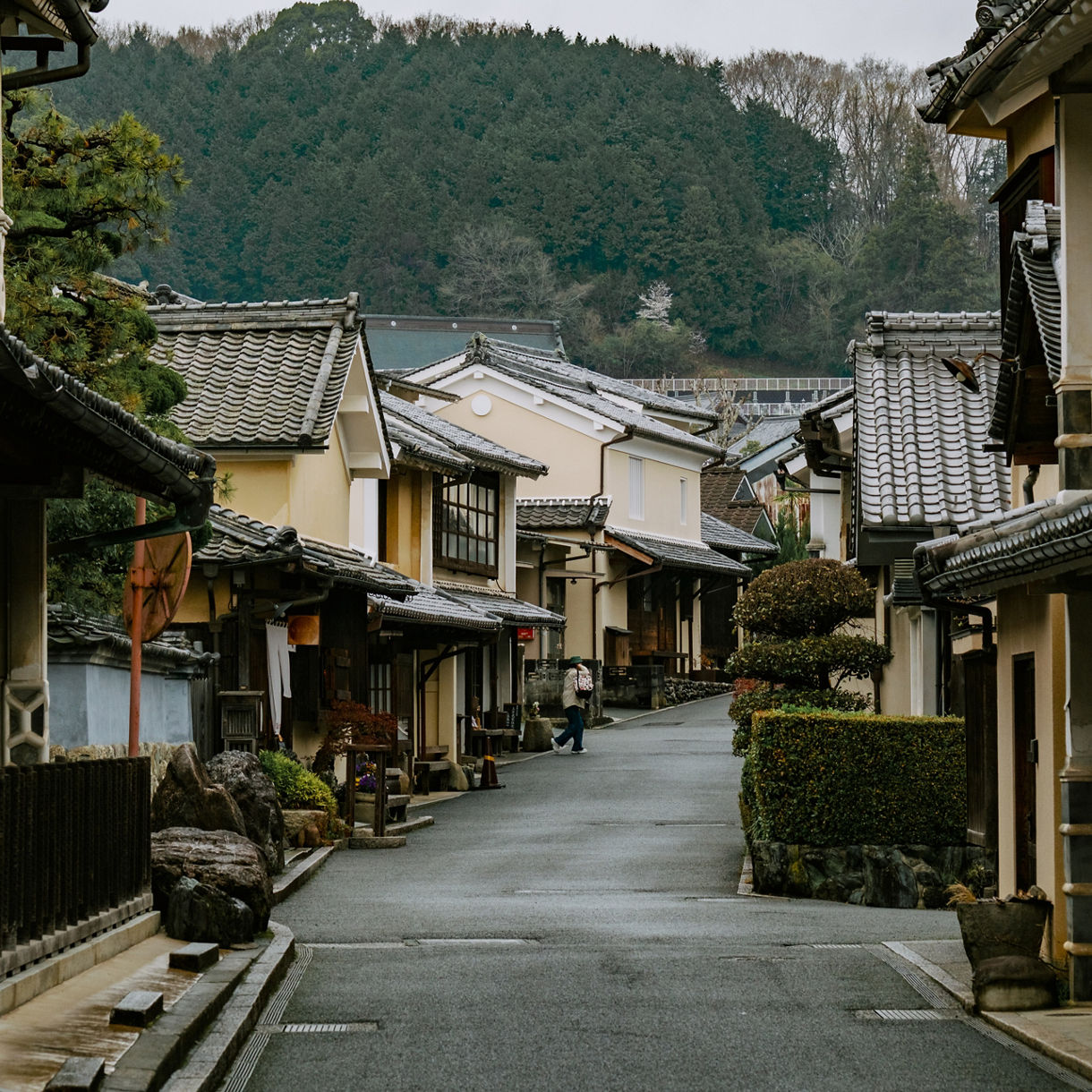 A narrow street lined with traditional Japanese houses featuring wooden facades and gray tiled roofs, with neatly trimmed shrubs and trees, leading toward a forested hillside under an overcast sky.