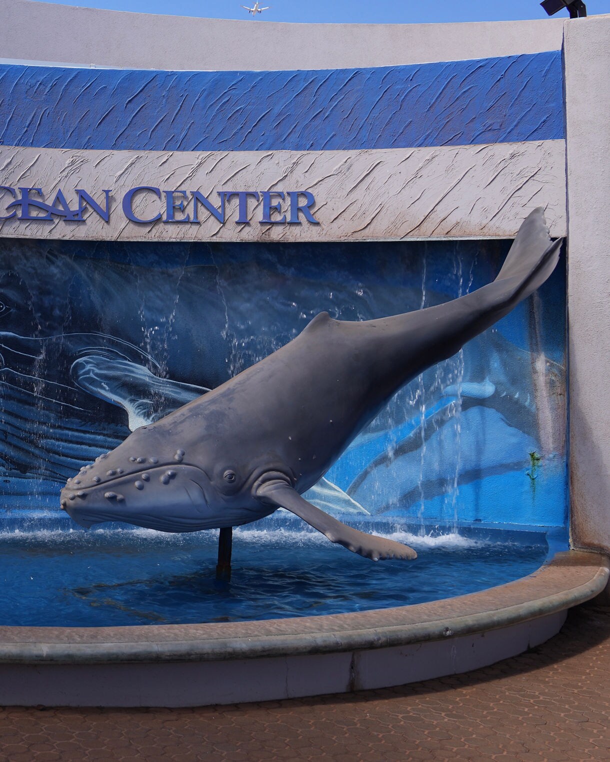 Exterior of the Maui Ocean Center featuring a life-size humpback whale sculpture and ocean-themed mural.