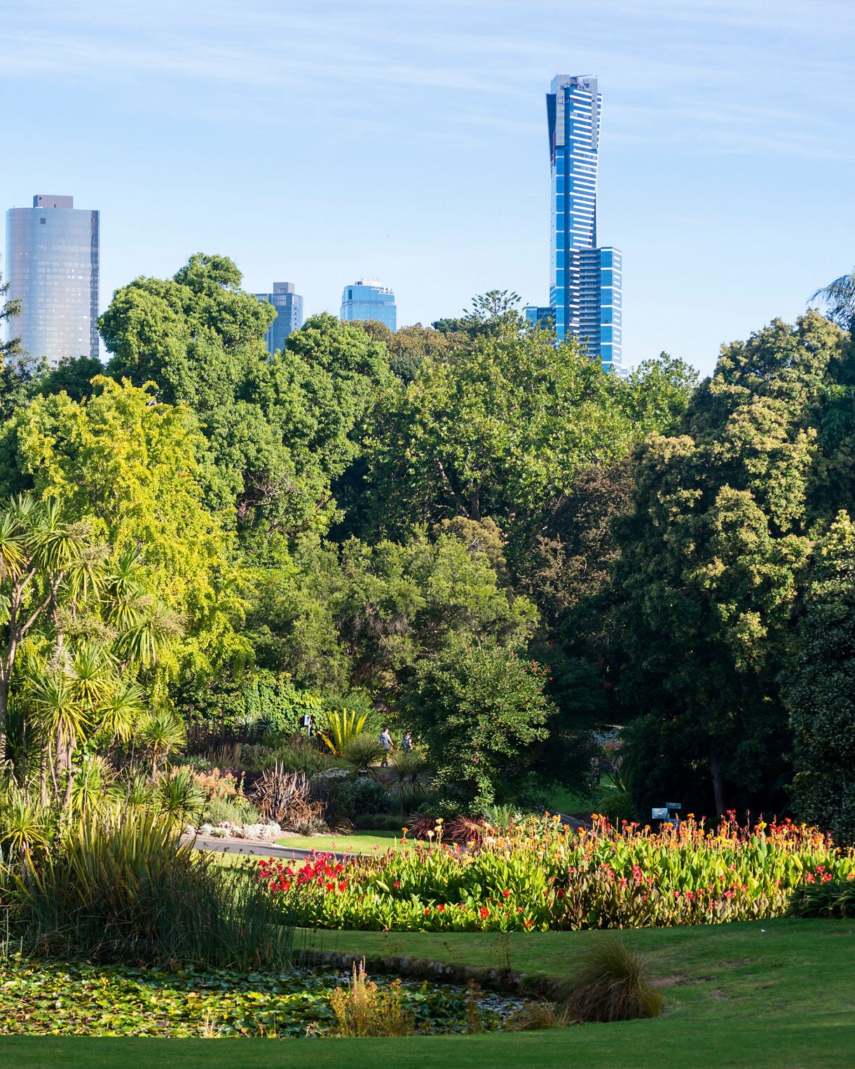 Lush greenery, flowering plants and a pond in Melbourne’s Royal Botanic Gardens with tall skyscrapers visible in the background.
