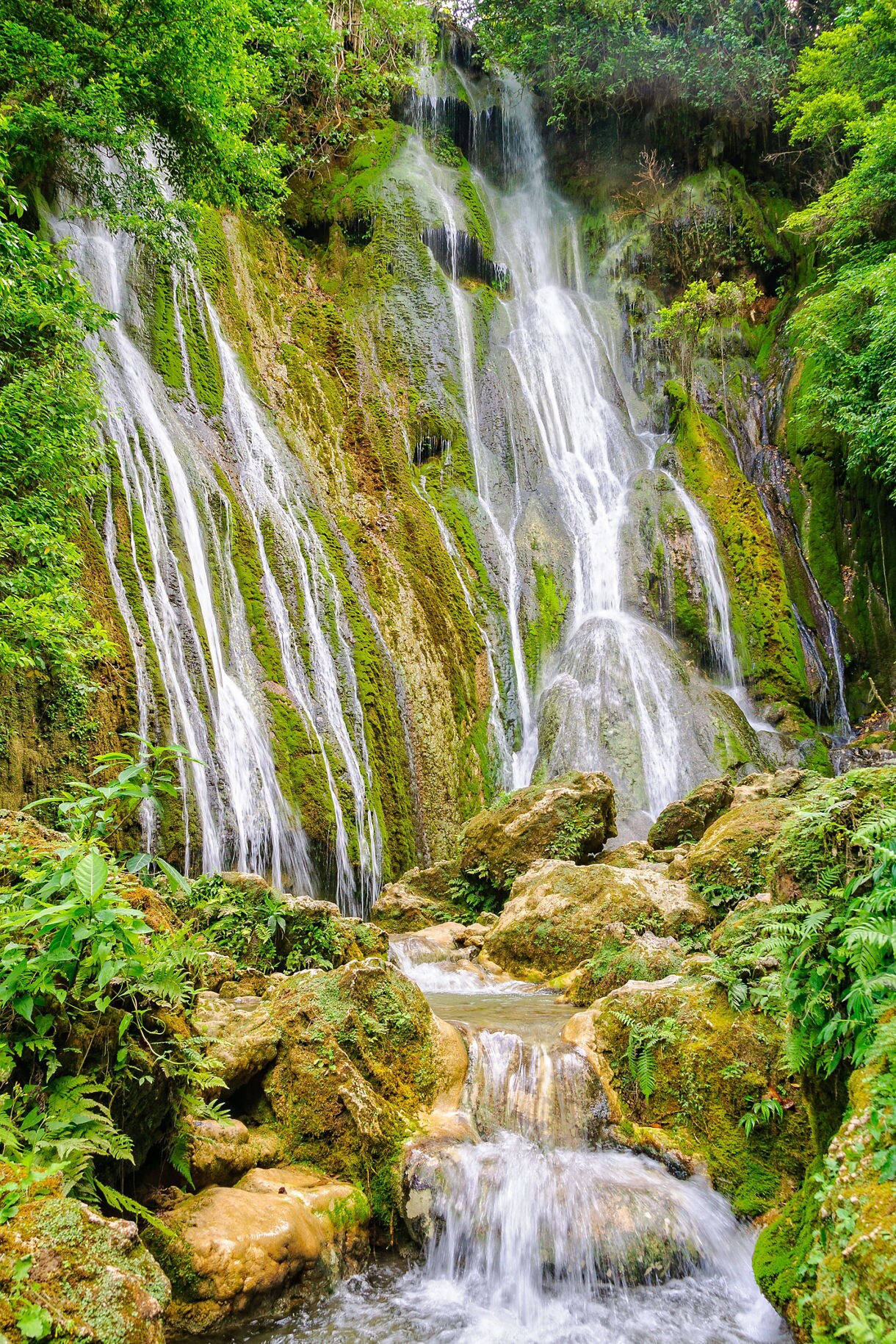 Tall tropical waterfall cascading over moss-covered rock with multiple narrow streams and lush green vegetation surrounding the pool below.