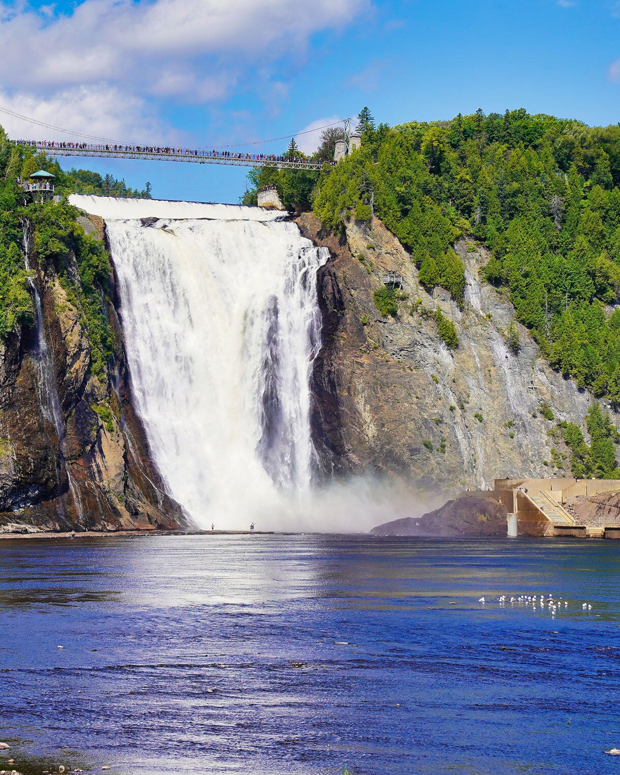 Wide view of Montmorency Falls plunging down a cliff surrounded by dense green forest, with a suspension bridge crossing above the cascade.