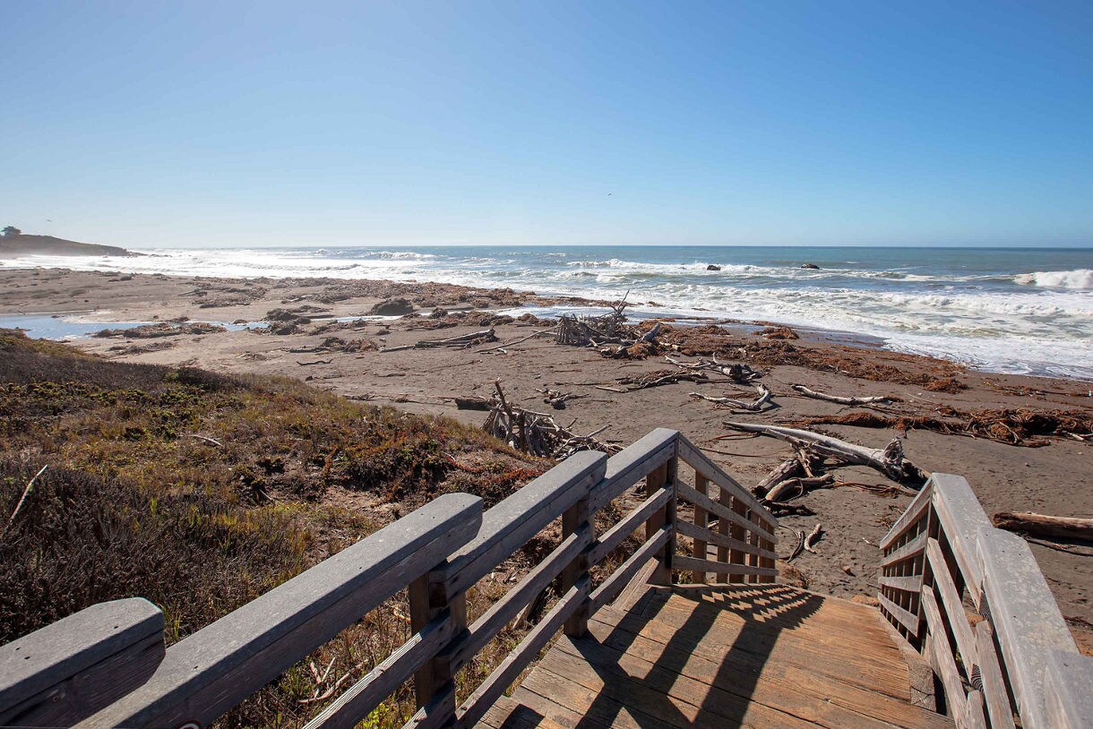 A wooden staircase leads down to Moonstone Beach, where driftwood and seaweed are scattered across the sandy shore. Waves crash against the rugged coastline under a clear blue sky.