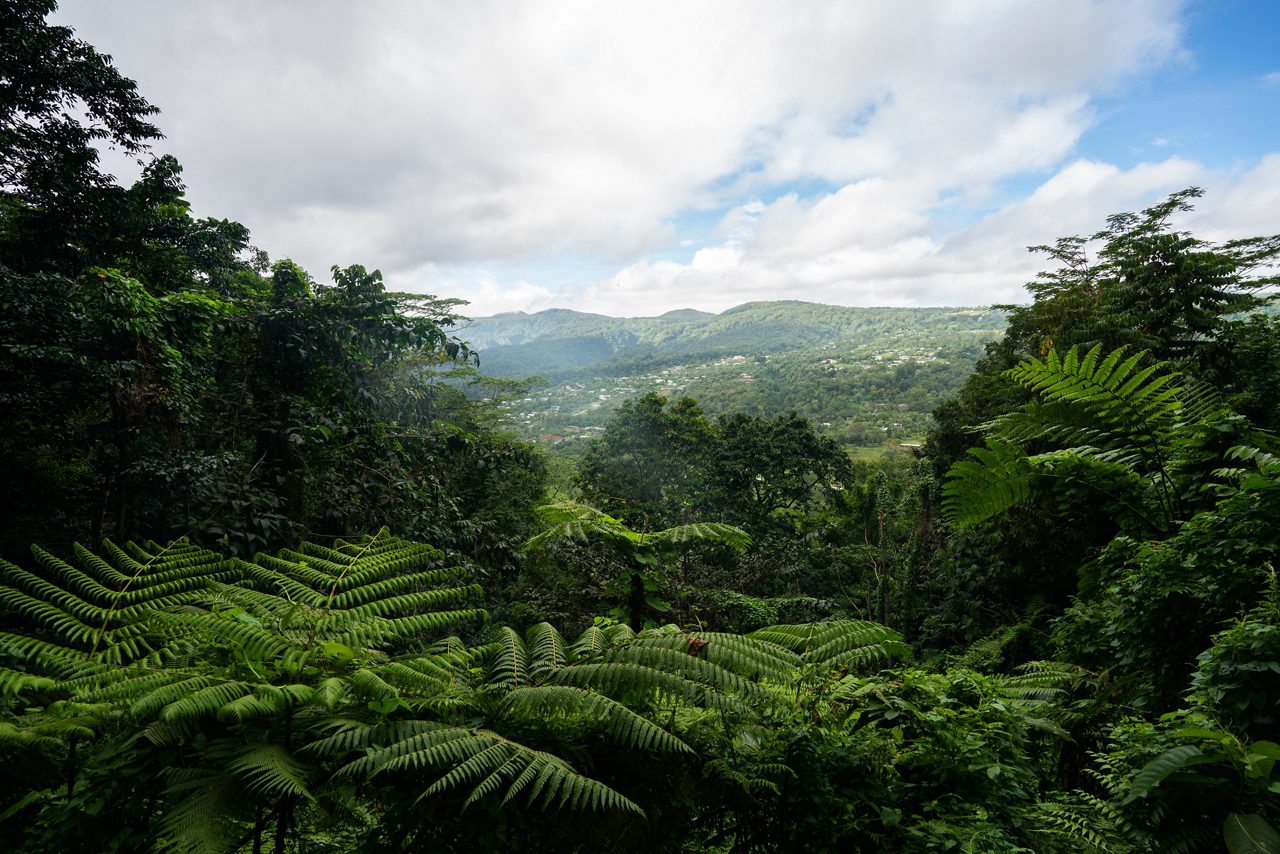Overlook from Mount Vaea in Samoa, showing dense tropical rainforest, rolling green hills and a valley leading to the coastline under a partly cloudy sky.