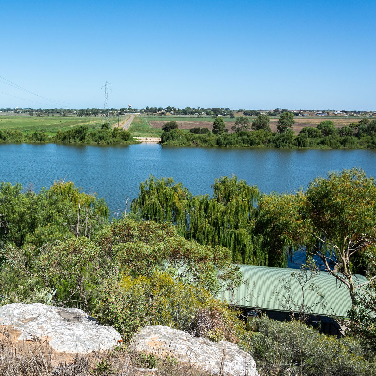 View of the Murray River with calm blue water, green trees along the banks and farmland stretching into the distance under a clear blue sky.