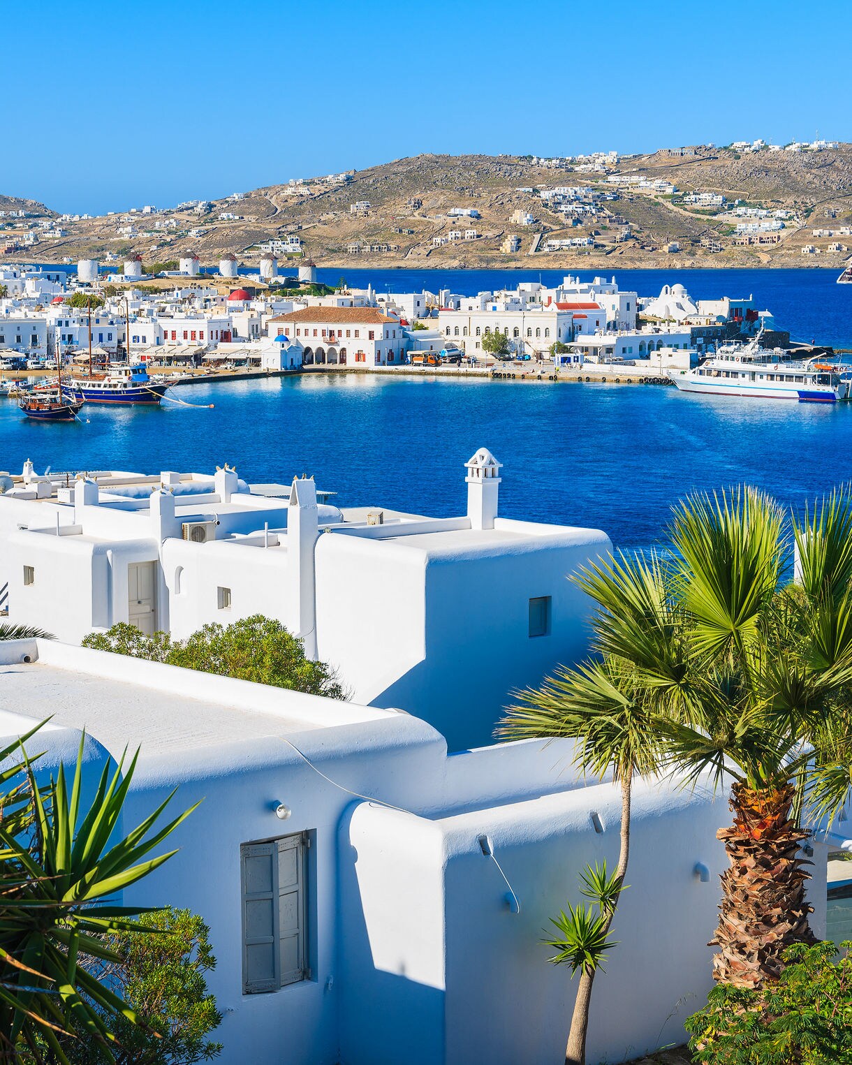 Whitewashed buildings with flat roofs and palm trees overlooking the turquoise harbor of Mykonos, Greece, with boats docked along the waterfront.