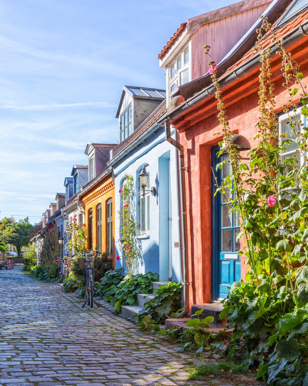 Row of brightly painted houses with flowers and cobblestone path along Møllestien Street in Aarhus, Denmark.