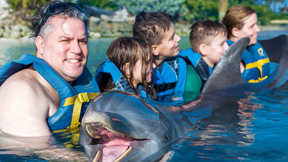 Dolphin Swim & Blue Lagoon Beach Fun with Lunch