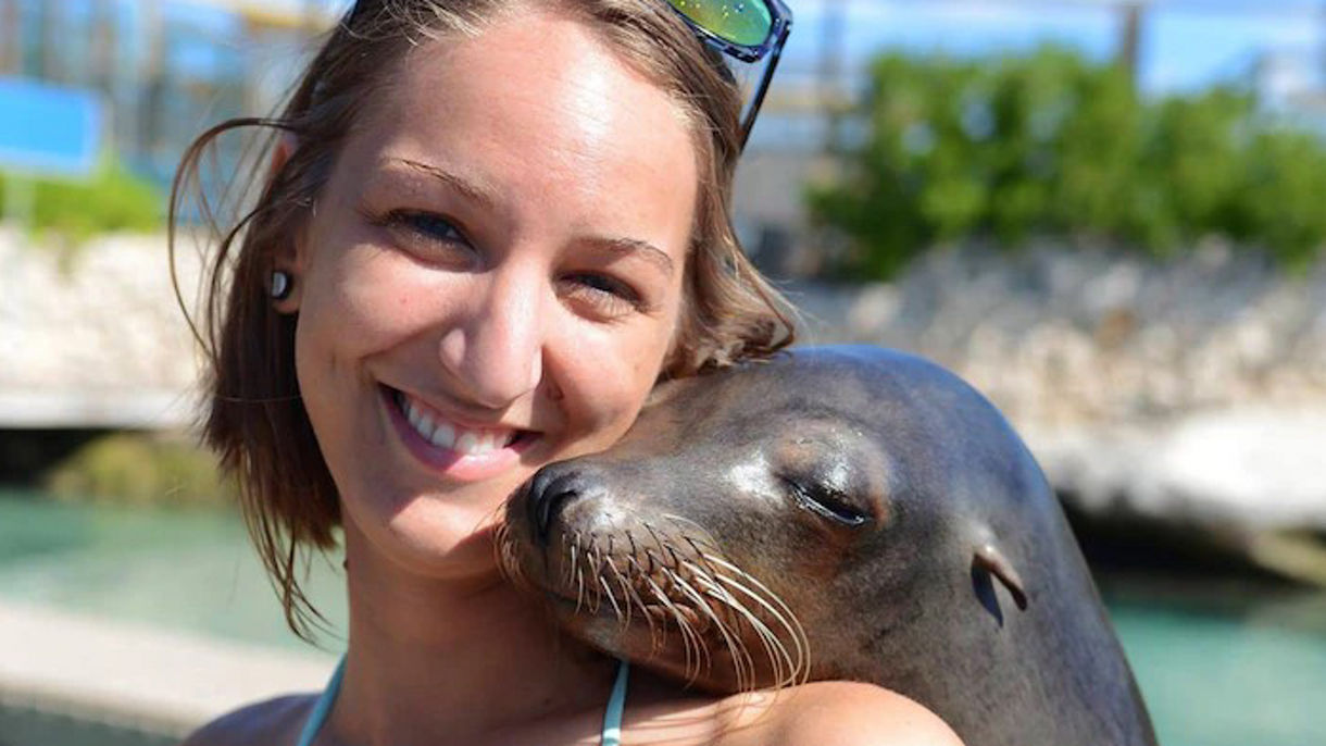 Sea Lion Encounter & Beach at Blue Lagoon Island