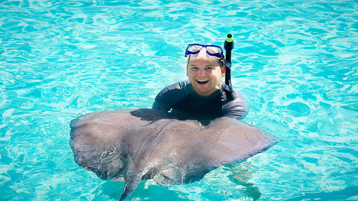 Dolphins, Sharks, Sea Lions & Beach Day Adventure