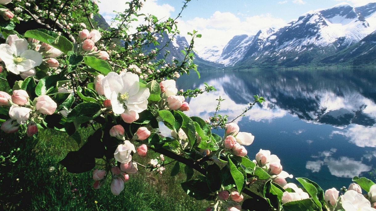Leisurely Nordfjord