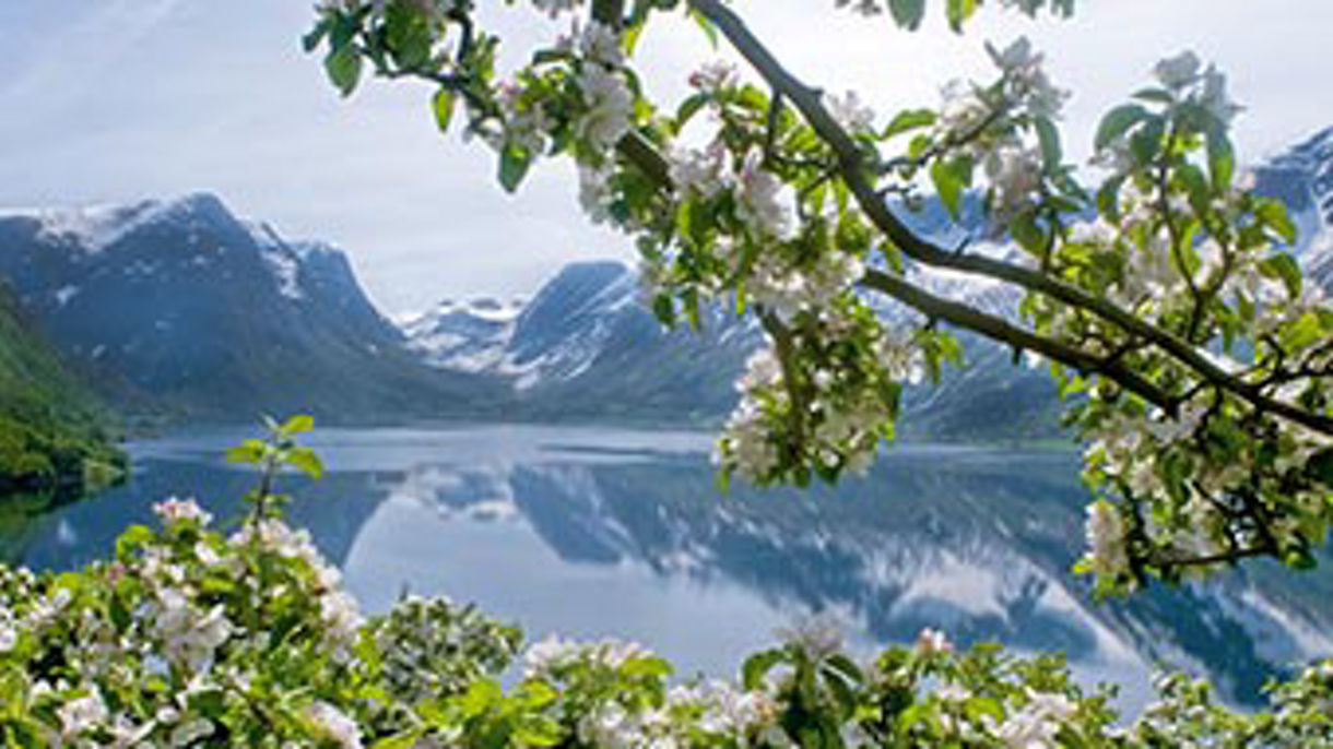 Jostedal National Park Center