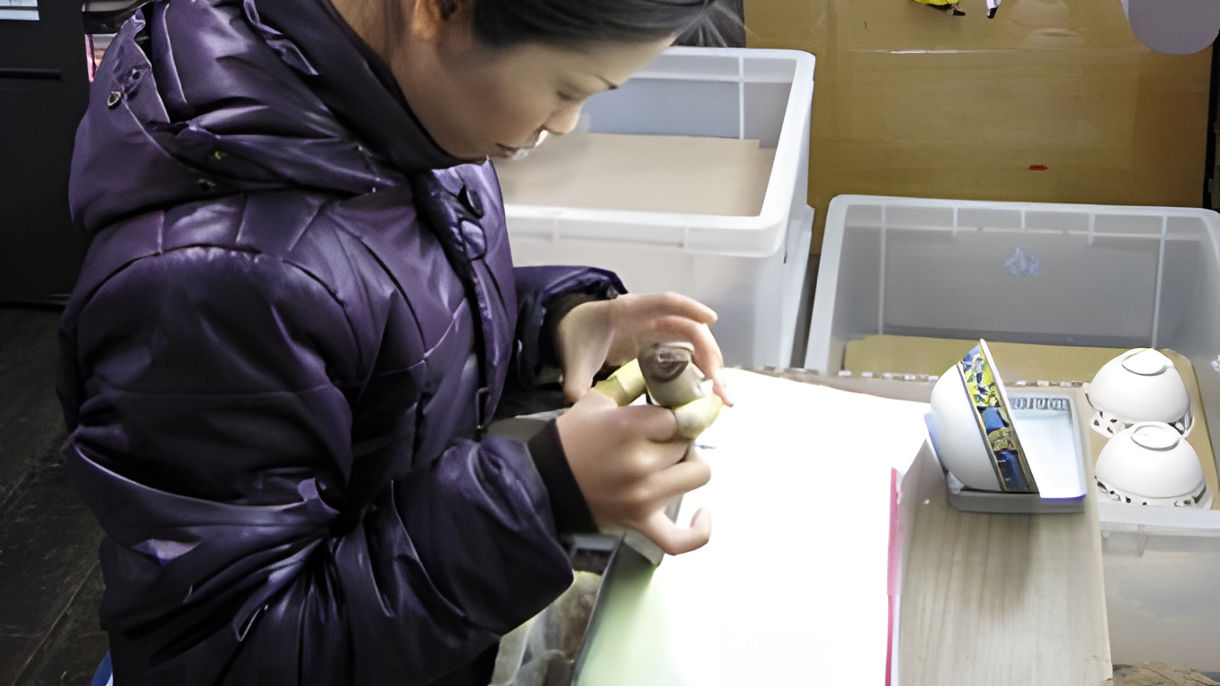 Arita's Porcelain and Traditional Culture