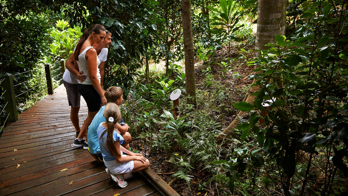 Botanical Garden Walk