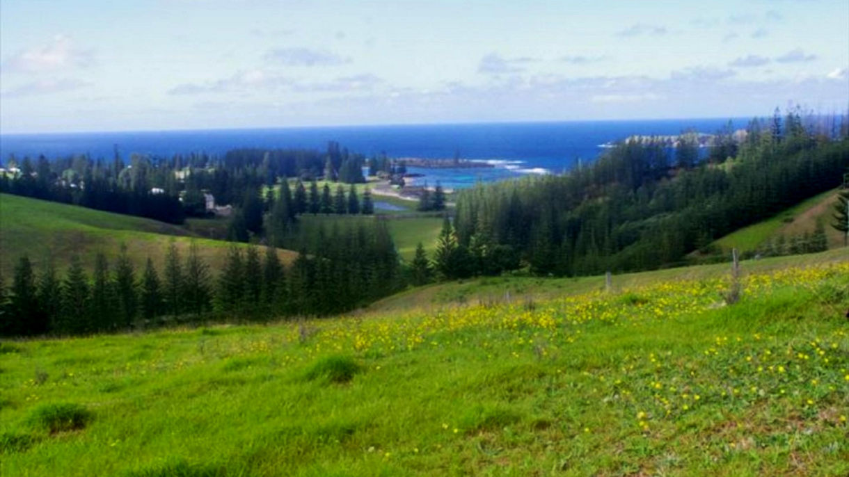 Island Adventure by 4WD