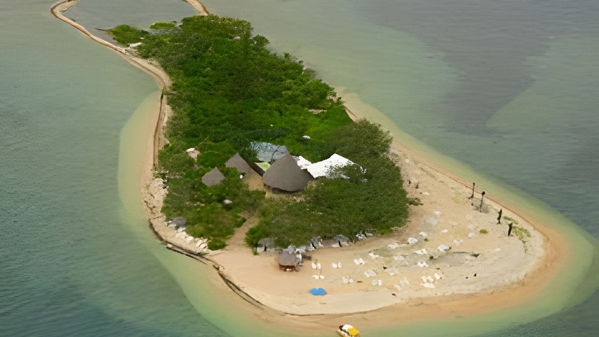 Zodiac Ride & Duck Island Marine Reserve