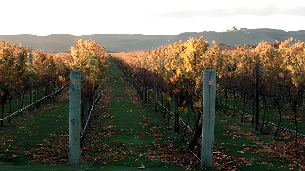 Hawke's Bay Wine Country
