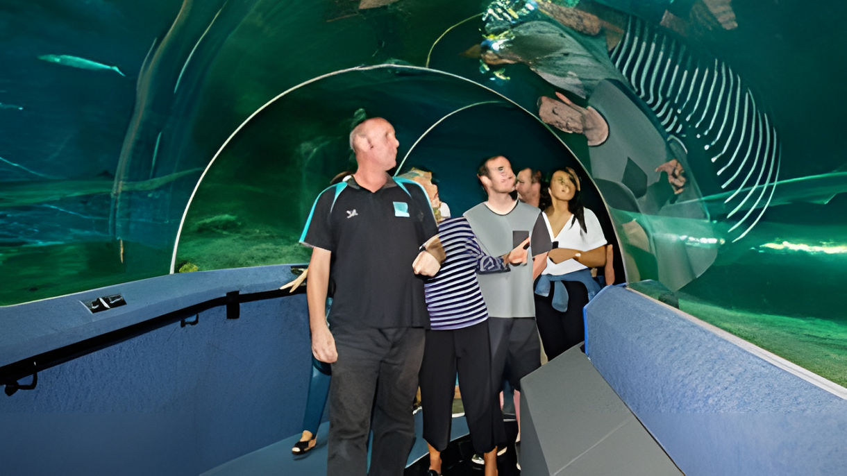Napier City Drive & Aquarium