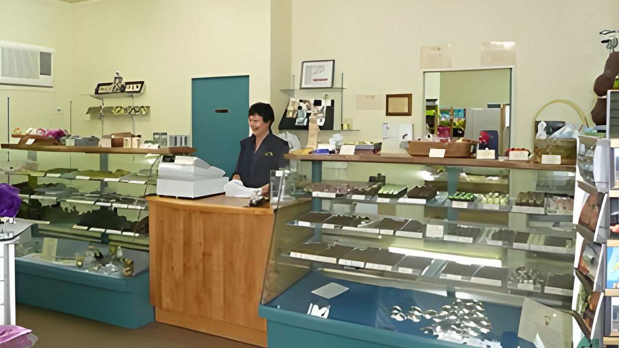 Local Connections: Delicious Hawkes Bay