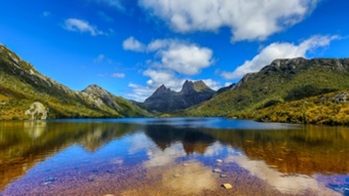 Taranaki Art & Gallery Tour