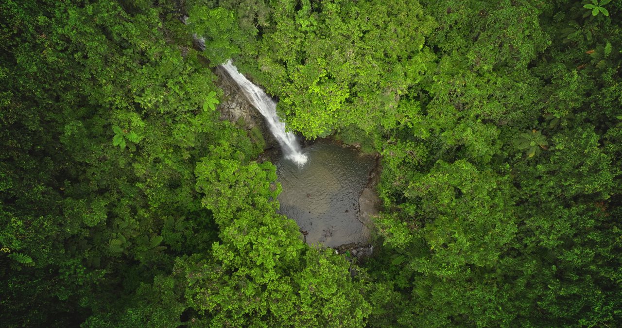 Aerial view of a secluded waterfall in Fiji cascading into a small pool surrounded by dense tropical forest.