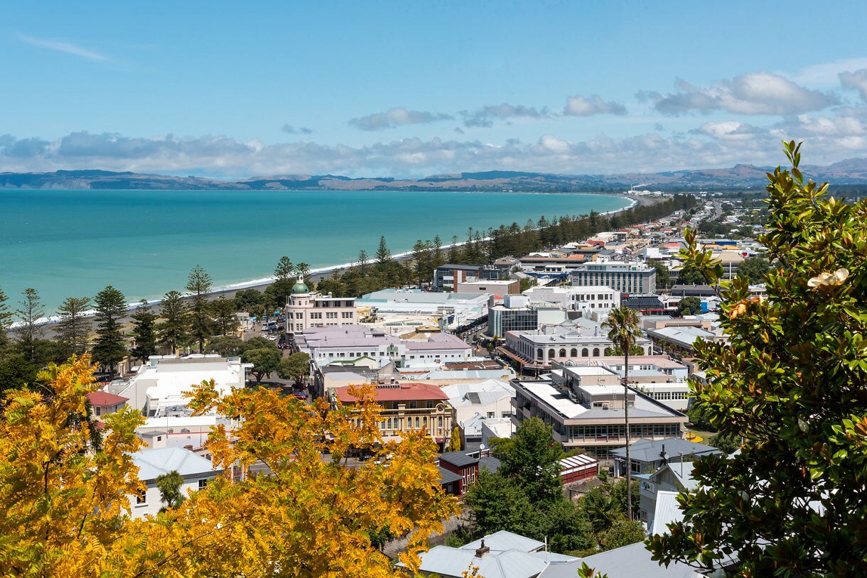 Aerial view of Napier with white Art Deco buildings, tall Norfolk pines along the shoreline and calm turquoise water stretching into the distance.