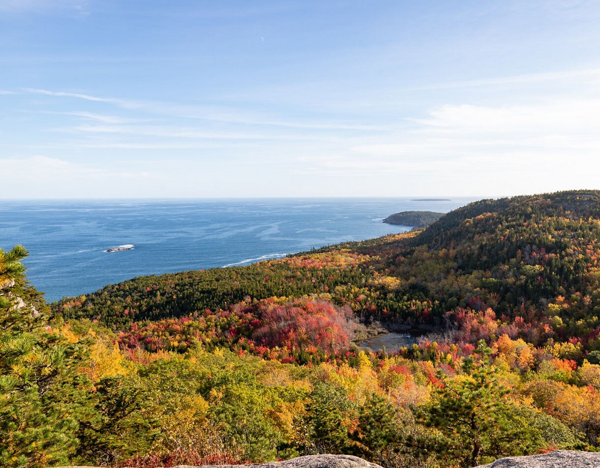 Aerial view of forested hills in fall colors beside a wide stretch of ocean.