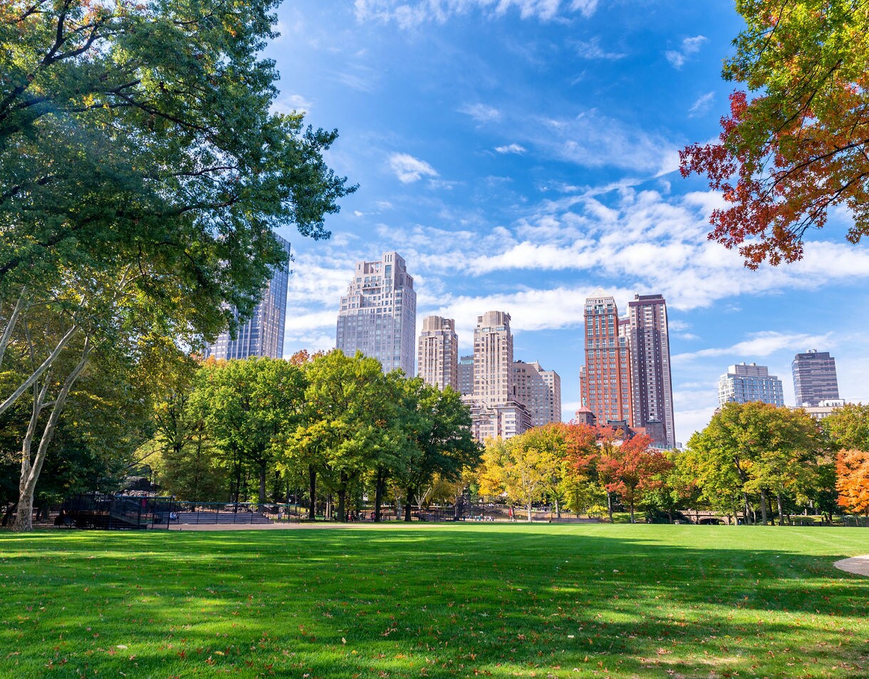 Wide view of Central Park’s open lawn bordered by trees in fall foliage, with tall Manhattan skyscrapers rising against a blue sky in the background.