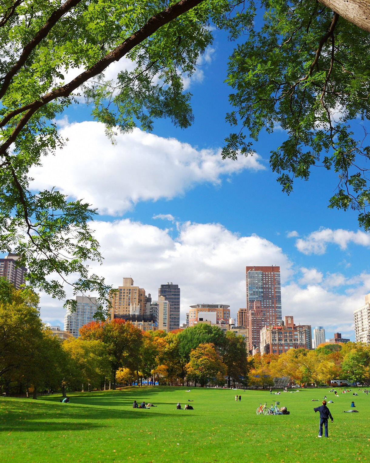 View across a wide grassy lawn in Central Park with people relaxing and trees showing autumn hues, framed by leafy branches overhead and midtown buildings in the distance.