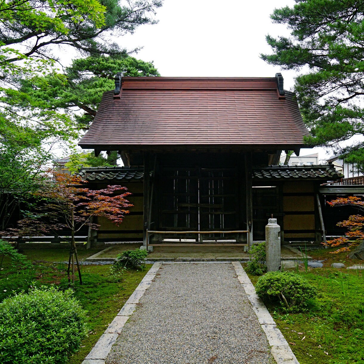 A traditional wooden gate stands at the end of a gravel path surrounded by lush green plants, moss and small maple trees in Shimizu Garden, Niigata, Japan.